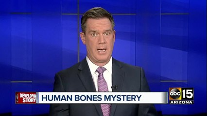 Human bones discovered in Buckeye farm field