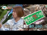 [People of full capacity] 능력자들 - Jeju Island mania's best Jeju eatery 20160804
