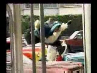 behind the scenes w/ the rock WWF Smackdown