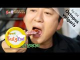 [K-Food] Spot!Tasty Food 찾아라 맛있는 TV - Octopus vulgaris (Pohang-si, Gyeongbuk) 참문어 20160116