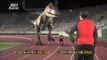 Sam, Acrocanthosaurus and Koreaceratops have a race!!, MBC Documentary Special 20140203