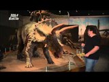 When two great dinosaurs fight, who will be winner? MBC Documentary Special 20140127