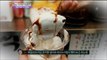 [K-Food] Spot!Tasty Food 찾아라 맛있는 TV - ice cream pancakes (Daehangno) 20150516