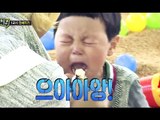 [Pet]애니멀즈 Animals - GangNam giving cheese 강남치즈먹이기 20150201