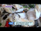 [K-Food] Spot!Tasty Food 찾아라 맛있는 TV - Braised Stingray 가오리찜 (전남 구례군) 20150314