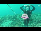 [Sightseeing throughout nations] 만국유람기 - Bikini Scuba Diving 비키니 스쿠버 다이빙 11편