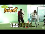 [Animals] 애니멀즈 - Hani gains the battle 하니 승리 20150322