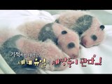 [Preview] 20150125 Animals (New start!) 애니멀즈 - Triplets Pandas & dog sitting & farm ranch episode