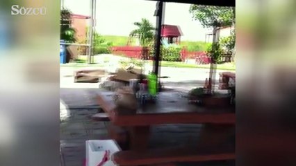 Dev timsahla burun buruna