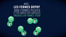 Qu'est-ce que les fermes Dephy ?