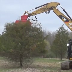 Cette machine surpuissante réduit un arbre en poussière en quelques secondes