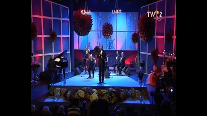 Ion Ionita - Festivalul Crizantema de aur - Tagoviste - TVR 2 - 27.11.2015