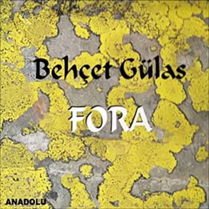Behçet Gülas  - Sevdalıyım