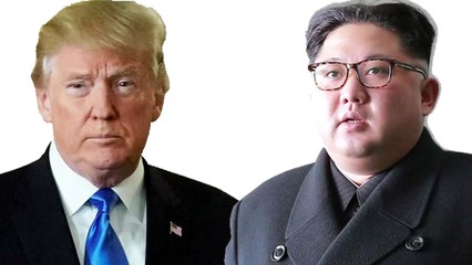 트럼프에게 전달된 김정은 메시지 공개 / YTN