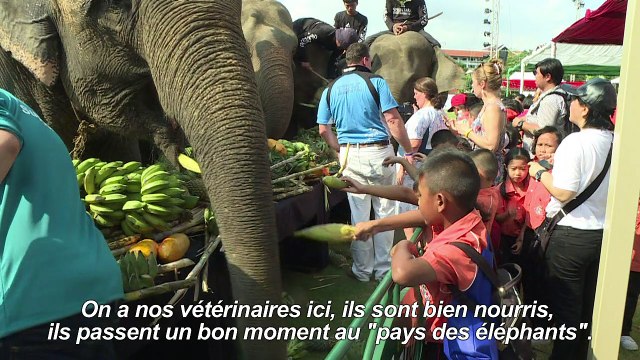 Au cœur de Bangkok, des éléphants joueurs de polo