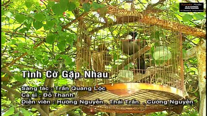 Tình Cờ Gặp Nhau - Đỗ Thanh