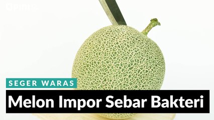 #1MENIT | Melon Impor Sebarkan Bakteri