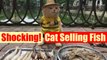Cat sells fish in Vietnam! becomes the latest internet sensation| Boldsky