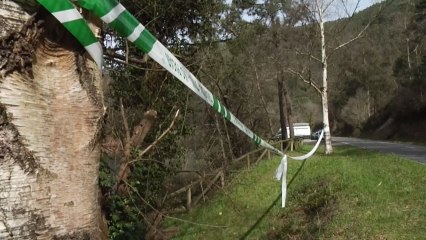 La mujer hallada en un embalse de Asturias murió de forma violenta