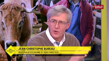 Extrait de Jean-Christophe Bureau dans Déshabillons-les - Le champ politique