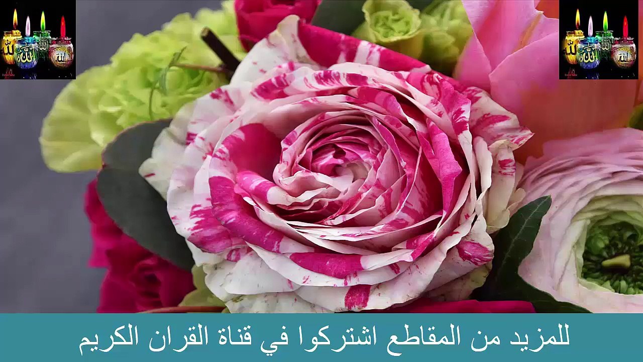 تلاوه سوره البينة