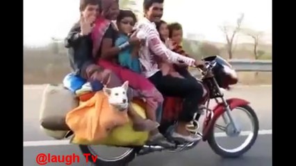 Indian Funny Videos - TRY NOT TO LAUGH or GRIN Whatsapp Funny Videos of July