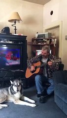 Un chien accompagne un guitariste au chant