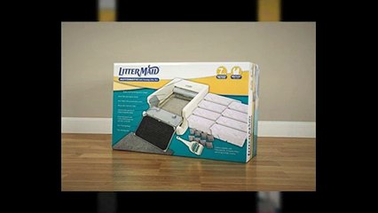 Automatic Litter Box