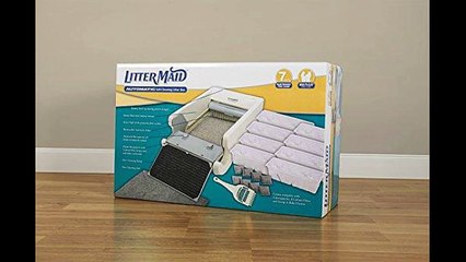 Best Self Cleaning Litter Box