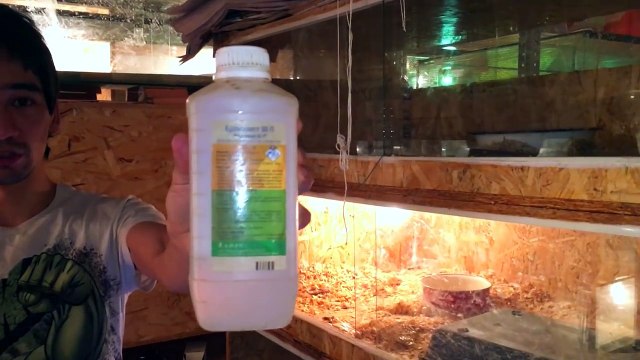 УДАВ ПРИНЯЛ МЕНЯ ЗА КОРМ (18+) Рассказ про укусы змей. Ссаживаю кобр