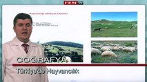 ygs lys coğrafyaTurkiye'nin Beseri ve Ekonomik Cografyasi - Turkiye'de Hayvancilik - 1