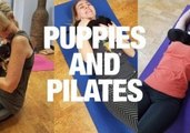 Pilates Class Uses Puppies Instead of Weights, Resulting in Match Made in Fitness Heaven