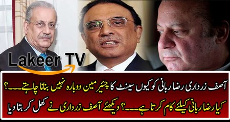 What Asif Ali Zardari said about Raza Rabbani