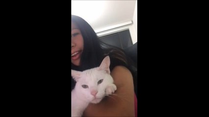 La chanson de cette fille qui s'accompagne de son chat fait des millions de vues