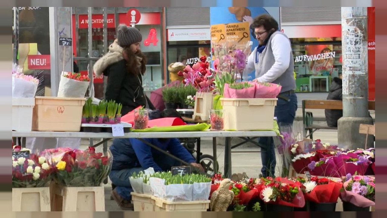 'Schmutzig und kriminell': Aufreger-Video über Wien