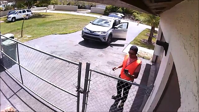 Un livreur Amazon balance un colis sur un chiot et fait scandale