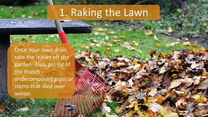 5 Tips to Prepare Your Lawn for Spring