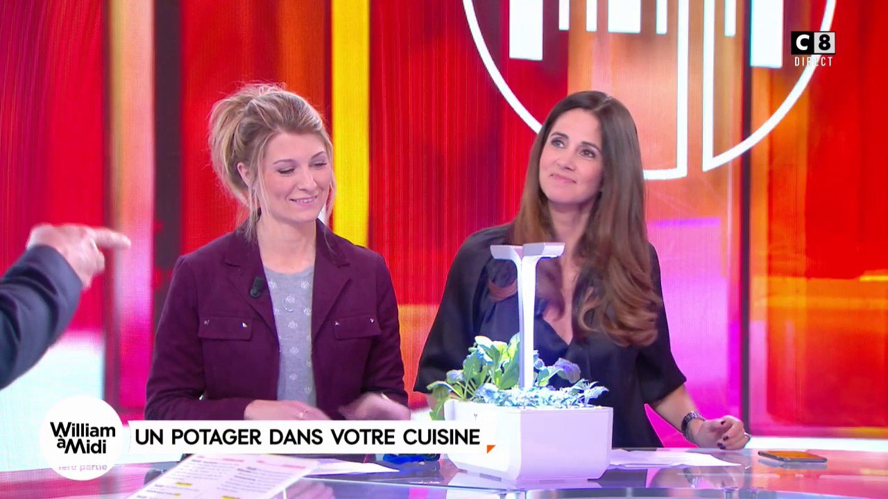 Rubrique consommation : le potager