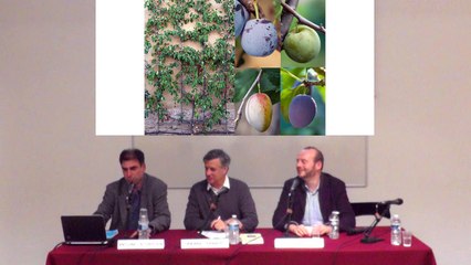 Rencontres des Gobelins | Versailles et la théâtralité du souper : côté cours, côté jardin (2/2)