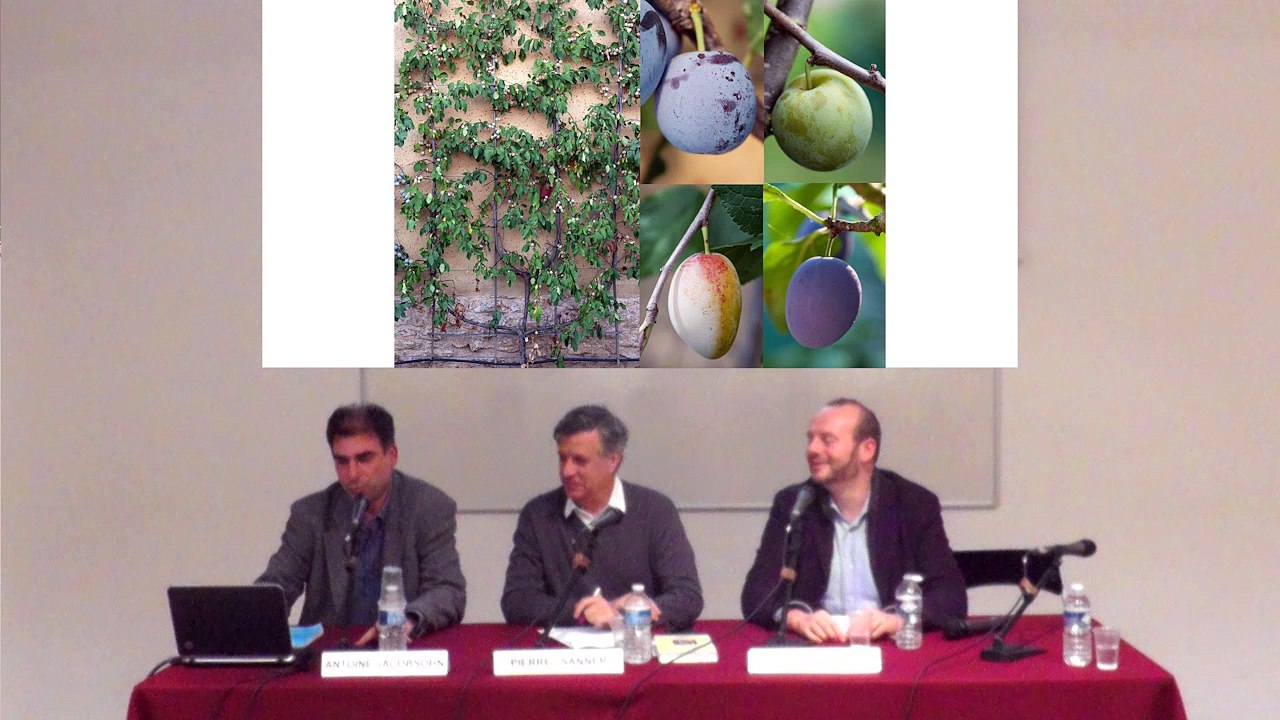 Rencontres des Gobelins | Versailles et la théâtralité du souper : côté cours, côté jardin (2/2)