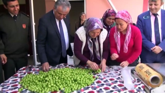 Yılın İlk Erik Hasadı Yapıldı: Kilosu 150 TL'den Satıldı