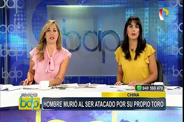 Brasil: salvan a perro de ser devorado por una enorme pitón