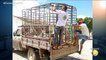Correio Verdade - Tem novidades no caso da matança de 31 cães na cidade de Igaracy