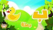 Learn Arabic Letter Seen (س), Arabic Alphabet for Kids, Arabic letters for children