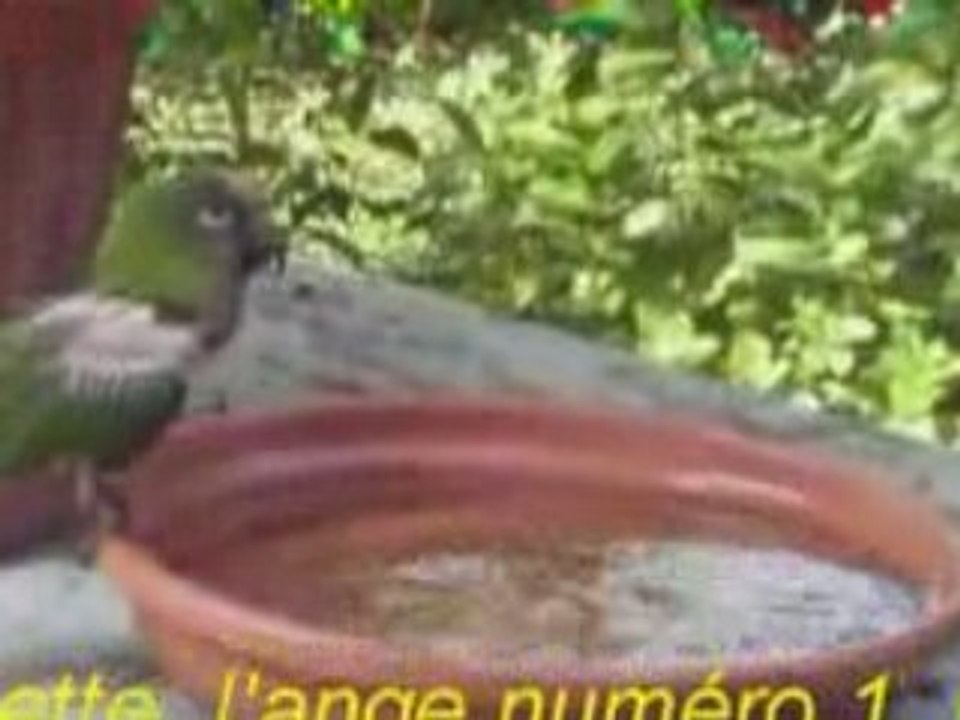 Ju ange1