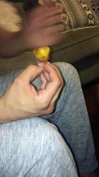 Pickiest Eater on Earth