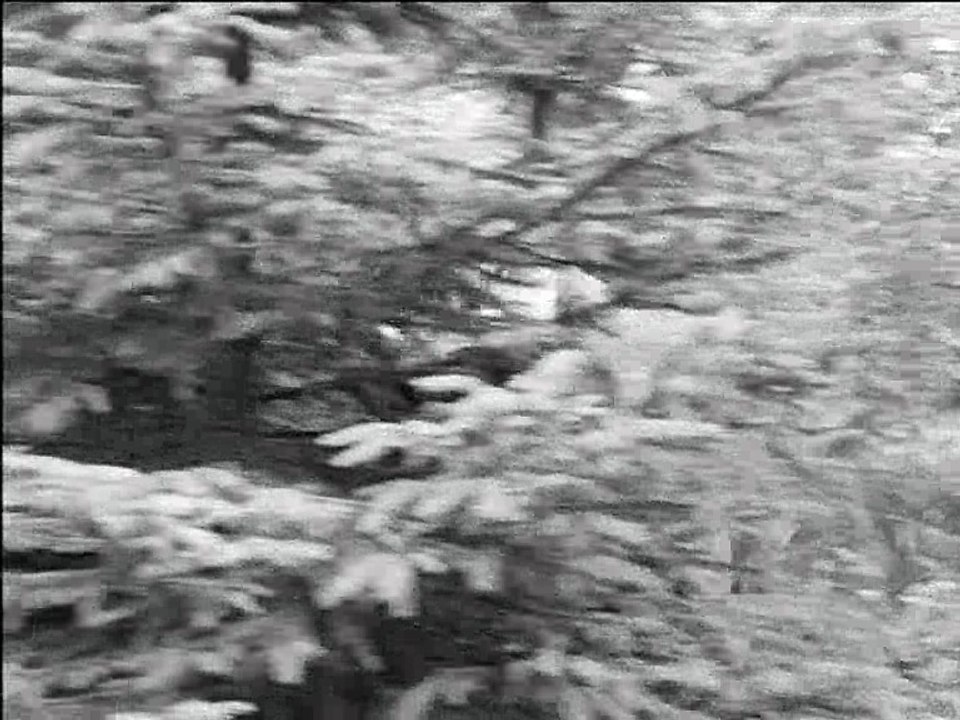 Stülpner Legende - Die Hochzeit