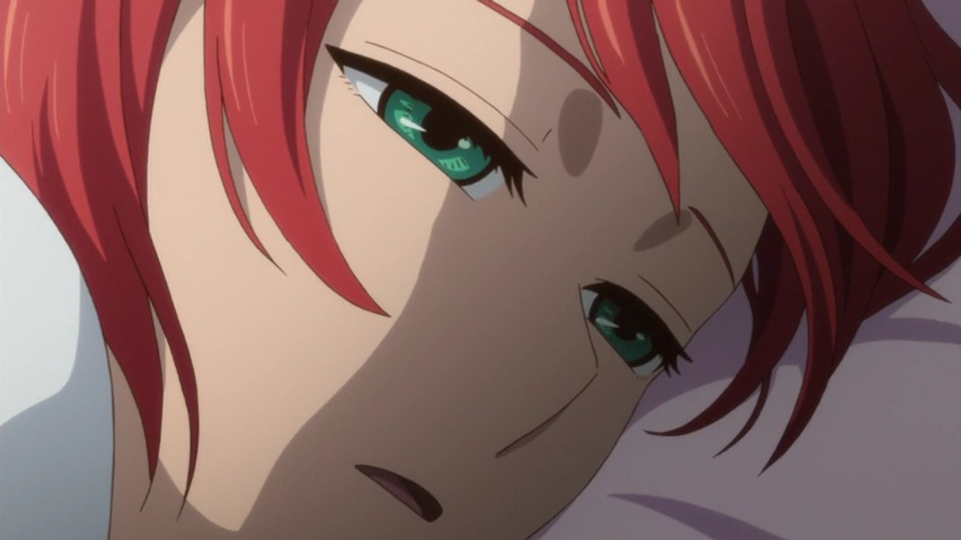 魔法使いの嫁 22 As You Sow So Shall You Reap Mahoutsukai No Yome 22 Hd 動画 Dailymotion