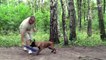 Дрессировка щенка, как учить собаку правильно играть 4