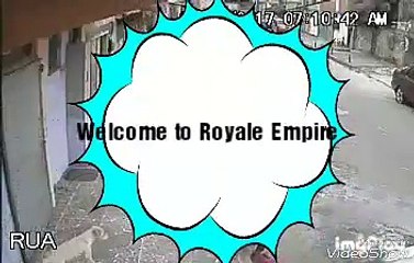 [MP4 360p] For Those Who are addicted to Smartphone☠️__comedy__Funny__Dog__Viral__Video__India__Animal__Good